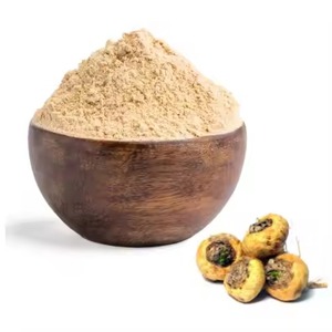 Orgánico de grado alimenticio indio de alta calidad para polvo de extracto de raíz 10:1 extracto de hierbas contenedor de plástico tambor marca ISAR precio bajo - Product Image 6