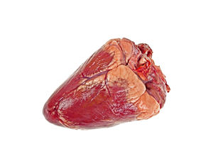 Corazones de carne congelados naturales de alta calidad, venta directa de fábrica a demanda mundial - Product Image 3