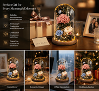 Ensemble cadeau de fleurs préservées de luxe dans un dôme en verre, rose éternelle de qualité supérieure avec boîte cadeau et sac pour mariage, Saint-Valentin, décoration de la maison