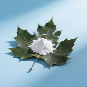 पौधे के उपयोग के लिए चूना पत्थर आधारित कैल्शियम हाइड्रॉक्साइड हाइड्रेटेड नींबू स्लरी पाउडर - Product Image 6