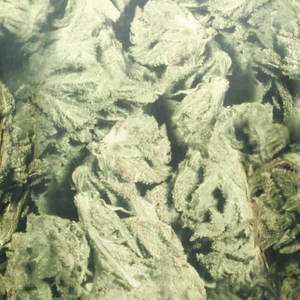 Venta al por mayor de buena calidad de los hombres de la chaqueta de bombardero de nuevo diseño de aspecto de moda de los hombres de la chaqueta de Bombardero de La nueva llegada para los hombres - Product Image 6