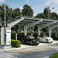 Abri de garage préfabriqué en acier portable à installation rapide pour deux places de stationnement