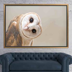 Lienzo Impreso: Diseño Gráfico Elegante de Búho para Decoración de Loft, Lienzo con Marco Dorado - Product Image 1