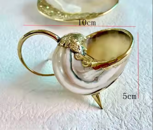 Tetera decorativa de concha con Caracol de mar real, Decoración de mesa con tema costero y pieza de exhibición única - Product Image 2