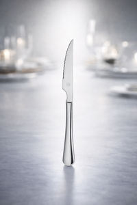 Mr. Spoon Serie Liso Coltello da Carne Lungo 225mm, Acciaio Inox 13/0, Adatto per Lavastoviglie, Ideale per Hotel e Ristoranti - Product Image 3