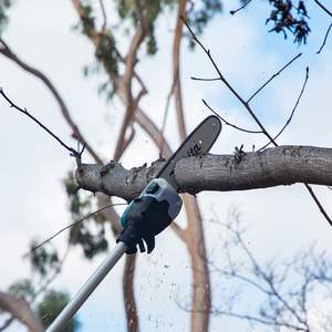 Scie à perche sans balais LXT 10 pouces 36V (18V x2) électrique, outil seul, longueur 8 pieds - Product Image 1