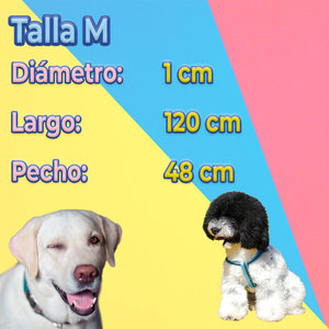 Kit Guinzaglio e Pettorina di Lusso per Cani di Taglia Media, Personalizzabile, in Poliestere a Righe o Tinta Unita, Modello Semplice per Uso Esterno, Taglie Grandi e XL - Product Image 4