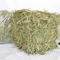 Foin de qualité supérieure, de qualité alimentaire, 100% naturel, riche en protéines, cubes de luzerne et de luzerne de Gascogne pour chevaux, bovins, porcs, poissons, chiens, 25 kg/sac, 2 ans