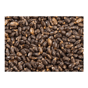 El precio más barato, proveedor de semillas de ricino orgánicas secas a granel con entrega rápida - Product Image 6