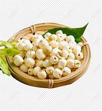 SEMILLAS DE LOTO PELADAS NATURALES SIN ADITIVOS NI CONSERVANTES IDEAL PARA APOYO INMUNE Y HABITOS COMIENTOS LIMPIOS - Product Image 2