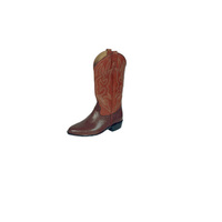 Chaussure en cuir d'équitation pour dames.