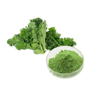 FOR SALE Kale Fresh Seeds Non-GMO Heirloom Vegetable - Product Image 5