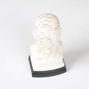 نموذج الوخز بالإبر والرأس 22 من الطب الصيني لتدريس نموذج نقطة الوخز بالإبر - Product Image 2