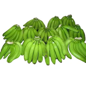 Venda quente Banana verde fresca Cavendish de alta qualidade 100% orgânica bananas frescas Cavendish Exportação Banana fresca padrão melhor preço