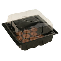 Kit de Germination Serre Compacte GARDEN LINE EDA8549 avec 12 Disques de Tourbe, Serre en Plastique Mono-Étage pour Culture de Légumes avec Film Polyvalent
