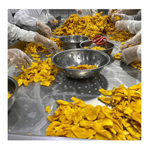 ขนุนอบแห้งแบบนุ่ม ผลิตจากผลขนุนสุกธรรมชาติ สำหรับทำขนมและแปรรูปอาหาร นำเข้าจากเวียดนาม - Product Image 5