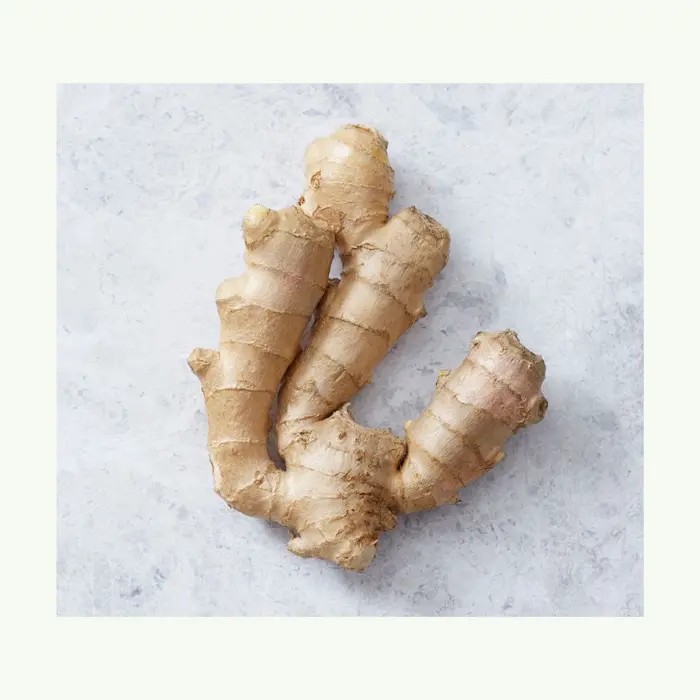 New Crop Fresh Ginger For Sale - Ginger Root Superior Quality- Spicy and Fragrant Flavor - Ginger Exporters