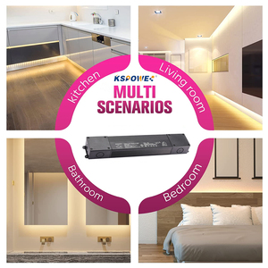 Bộ Điều Hợp Công Nghiệp Mô Đun Cổ Điển 120V 240V 277V Đầu Vào Bộ Điều Chỉnh Triac 150W 300W Dây Điều Chỉnh Độ Sáng Đèn <span class=keywords><strong>Led</strong></span> <span class=keywords><strong>Lutron</strong></span> - Product Image 2