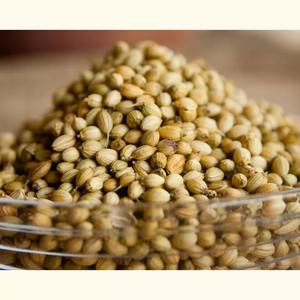 เมล็ดผักชีธรรมชาติสำหรับปรุงอาหารปรุงรส100% - Product Image 6