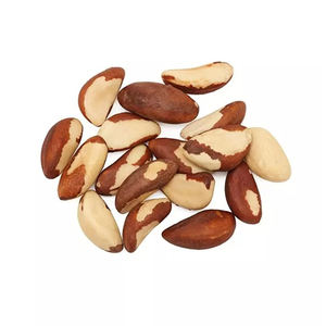 Noix brésiliennes de qualité export fournies aux acheteurs en gros à long terme - Product Image 6