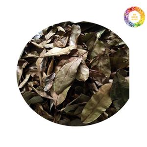 Feuille de corossol séchée biologique/Graviola/Feuilles de Guanabana, 100% naturelle, pure, feuille organique du Viet Nam par 99 données d'or - Product Image 6