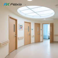 Porte de chambre d'hôpital moderne sur mesure avec panneau de vision, insonorisée, antibactérienne, en acier, surface finie