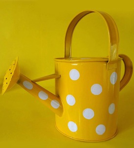 Arrosoir en métal pour plantes/décor de jardin, arrosoir pour plantes d'intérieur et d'extérieur avec cadeau pour femmes-décor - Product Image 2