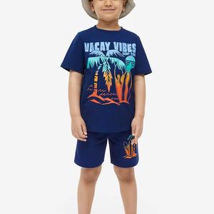Ensemble short d'été personnalisé de haute qualité pour hommes survêtement 2 pièces en coton/polyester avec t-shirt uni sérigraphié écologique - Product Image 5
