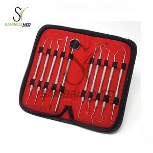 Premium Quality 10-Piece Dental Scaler <b>Mirror</b> <b>Set</b> German Surgical Stainless Steel Manual Power Source Probes Inspection <b>Mirror</b> - Product Image 4
