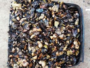 Granulés et copeaux de coque de noix de cajou, 10% d'humidité, produit dérivé agricole pour le chauffage, à vendre - Product Image 1