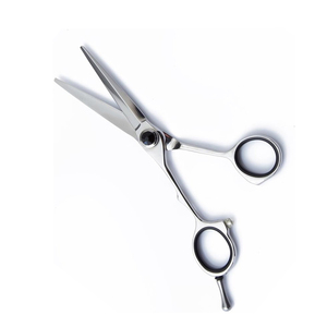 ขายส่งกรรไกรตัดผมขัดเงา 6 นิ้ว Hairdressing กรรไกรตัดสแตนเลสสําหรับ Salon - Product Image 1