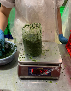 ใบมันสำปะหลังบดแช่แข็ง (พร้อมปรุง)-ราคาที่ดีที่สุดส่งออกจำนวนมากจากผู้จำหน่ายในเวียดนาม - Product Image 4