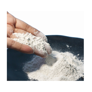 Engrais en poudre de dolomite blanche en gros – Meilleur prix pour solutions agricoles et services de santé - Product Image 1