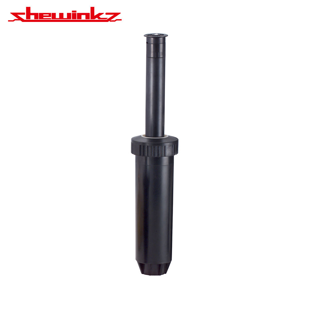 สีที่กำหนดเอง