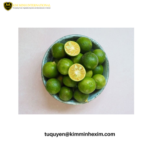 Exportation du Vietnam Qualité IQF Calamansi Congelé Lime Tranches Coupées Entières Approvisionnement en Vrac de Produit Fruit Congelé Premium - Product Image 4