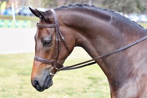 Bride Snaffle - Product Image 5