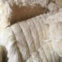 Chicorée kényane de qualité supérieure, durable, pour usage industriel, vente en gros, prix avantageux