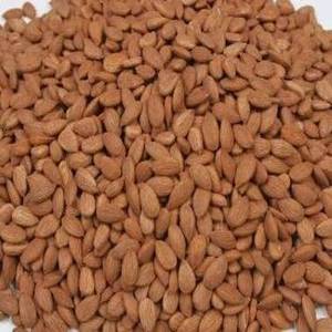 Raw Badam Almond <b>Nuts</b> <b>Kernels</b> Organic Rich Nutrition Organic Almonds High Quality Dried Raw Almond 100% Natural Almond <b>Nuts</b> - Product Image 2