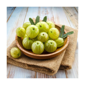 มะเฟืองแช่แข็งพร้อมส่งทั่วโลก - Product Image 1