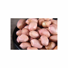 High Grade Non-GMO Organic Dried <b>Peanuts</b> Natural Groundnut Bulk Product Good Quality Raw Organic Ground <b>Peanuts</b> - Product Image 2