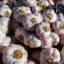 Ail blanc frais pur de grande taille de haute qualité 5 cm, produits agricoles du fournisseur chinois pour l'usage alimentaire. - Product Image 3