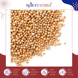 Exportateur mondial vendant de la moutarde naturelle brute séchée de haute qualité, options personnalisées, marque Spicecentra, Inde, durée de conservation de 12 mois - Product Image 2