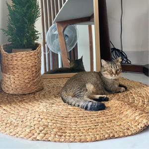 Alfombra de área tejida a mano para decoración de suelo, alfombras de jacinto de agua para interior, hermoso estilo de granja para sala de estar - Product Image 3