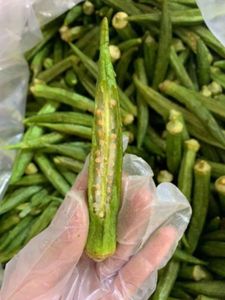 FRUITS D'OKRA SÉCHÉS EN GROS DE HAUTE QUALITÉ DU VIETNAM - Product Image 3