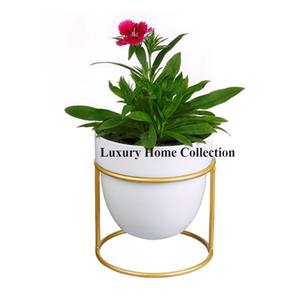 Minimalist Design Metal Small Size <b>Pots</b> and Planter <b>White</b> Color <b>Pot</b> and Gold Color Planter Decoration for Home and Hotel - Product Image 1