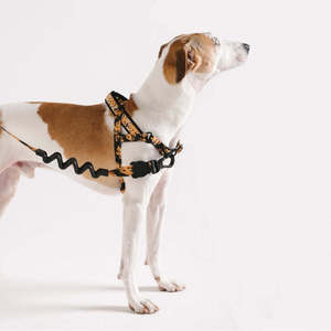 Arnés Noruego de Moda para Perros, Diseño Farm Rio Bossa Banana, Hecho de Poliéster, para Caminatas Más Suaves - Product Image 4