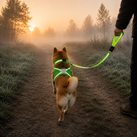 Ensemble collier et laisse LED Qcool pour chiens, avec poignée rembourrée, crochet pivotant en métal, pour une visibilité extérieure optimale et un contrôle facile, vente en gros par lot