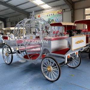 Carrozza nuziale 2025/moda nuovo prodotto trasporto speciale carrozza/auto per vacanze turistiche in vendita a prezzo speciale - Product Image 4