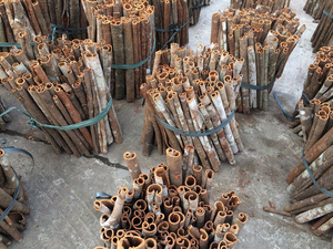 Bao Tram Anh Company's Cinnamon de Vietnam Producto agrícola de alta calidad - Product Image 2