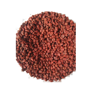 Graines d'annatto de haute qualité du Vietnam, épices de graines d'annatto authentiques pour l'industrie alimentaire, les sauces et l'utilisation culinaire - Product Image 3